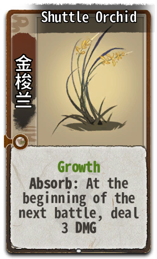Shuttle Orchid