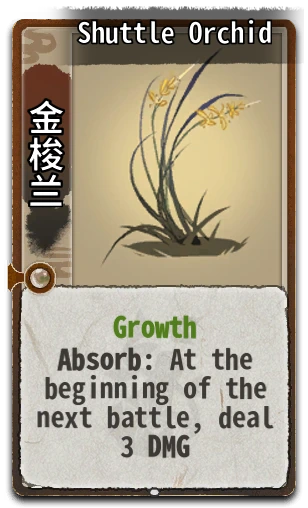 Shuttle Orchid