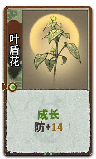 叶盾花