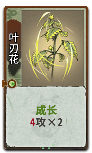 叶刃花