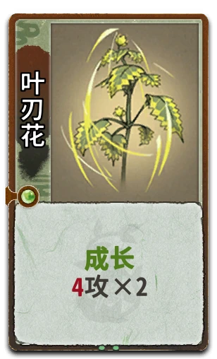 叶刃花