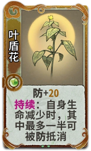 叶盾花